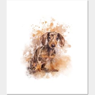 Dachshund Posters and Art